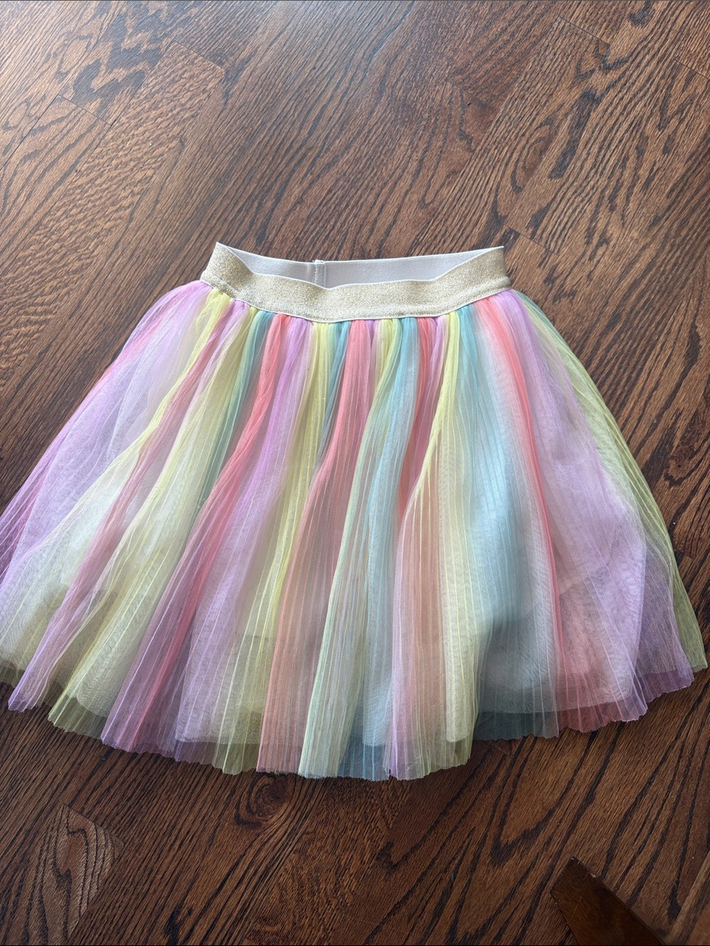Pastel Rainbow Tulle Skirt with Gold Elastic Waistband